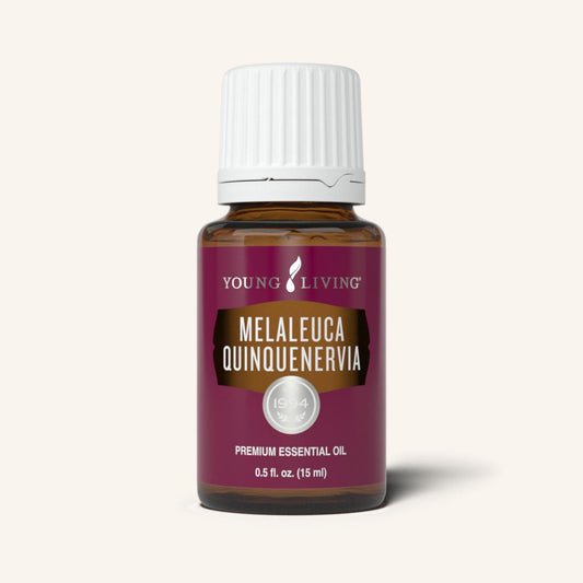 Melaleuca Quinquenervia Essential Oil 15ml